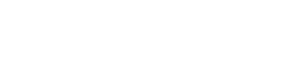 Junta Constitucional